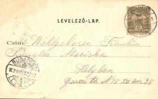 Budapest XII. Zugliget, Auwinkel; Csillagvölgy, Divald Károly