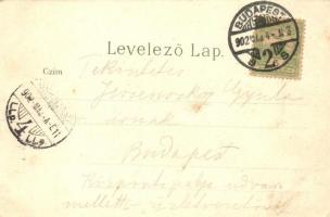 Budapest VIII. Ludoviceum, litho