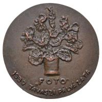 1937. "FOTO 1937 Tavaszi Pályázata" Br emlékérem (48mm) T:2,2- kis ph. Hungary 1937. "FOTO Spring Competition 1937" Br commemorative medallion (48mm) C:XF,VF slight edge error