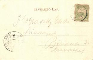 Selmecbánya, Banská Stiavnica; látkép, kiadja Joerges özv. és fia / general view