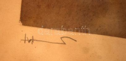 Olvashatatlan jelzéssel: Kecskecsalád, rézkarc, papír, paszpartuban, üvegezett fa keretben, 19,5×26,...