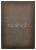 Nemes György (1885-1958) ~1920. "Isseni Iszer Károly - 1858 Budapesti Torna Club" egyoldal...