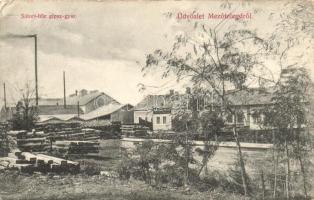 Mezőtelegd, Tileagd; Sátori-féle gipsz gyár, Sátori Mór üzlete / gypsum factory, shop (EK)