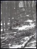 cca 1980 Erdei munkálatok, fotó jelzés nélkül, 40x30cm