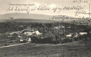 Técső, Tacovo; Ferencvölgyi üveggyár / glass factory (ázott / wet damage)