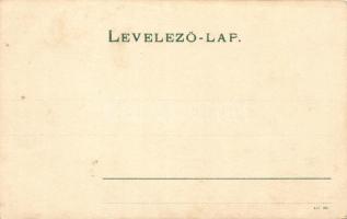 Besztercebánya, Banská Bystrica; Leányiskola, Királyi Főgimnázium / girls school, grammar school; fl...