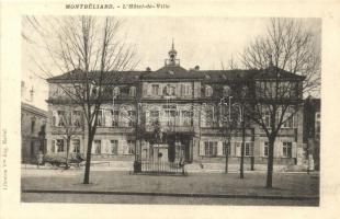 Montbéliard, LHotel-de-Ville / town hall
