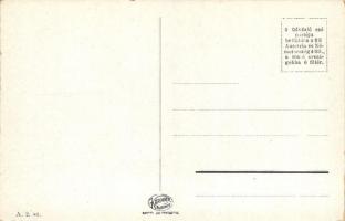 Budapest XV. Rákospalota, Városháza, országzászló