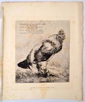 Felix Bracquemond (1833-1914): Der Hahn. Fotógravür, papír, kiadta Der K.K. HOF-und Staatsdruckerei 22×20 cm