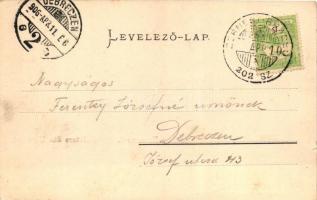 Zernest, Látkép cellulózgyárral, Verlag von Michael Bloos / cellulose factory