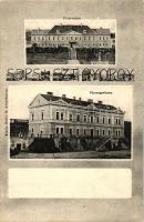 Sepsiszentgyörgy, Fiúárvaház, vármegyeháza; virágos mozaiklap, kiadja Benkő M. / orpahange, county hall