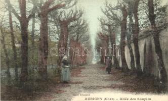 Aubigny-sur-Nere; Allée de Soupirs / alley