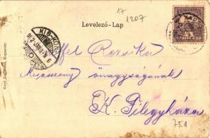 Kaposvár, Zászló, Gerő Zsigmond kiadása, litho (fl)