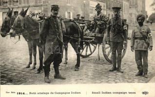 1914 Petit attelage de Campagne Indien / Small Indian compaign team