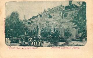 Pankota, Sulkowksy-kastély; Bloch H. nyomdája / castle