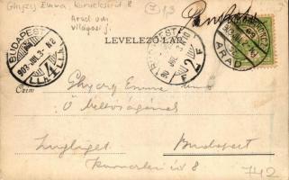 Pankota, Sulkowksy-kastély; Bloch H. nyomdája / castle