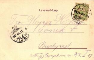 1899 Temesvár, Timisoara; Józsefvárosi indóház, vasútállomás. Kiadja a Polatsek-féle könyvkereskedés...