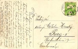 Komárom, Duna-részlet, Donaupartie, Kriegsinsel