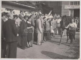 cca 1950-1953 Lóverseny az alagi pályán, Gyulás Fotó, pecséttel jelzett, 2 db, 18x24 cm