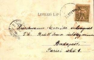 Budapest XVII. Rákosliget, Fő utca; Wollner Alajos kiadása