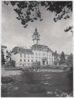 cca 1950-1970 Szegedi életképek(Városháza, Széchenyi tér), 3 db fotó, 23x18 cm