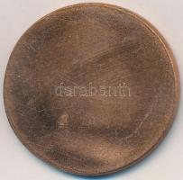 Ifj. Szlávits László (1959-) DN "Aulich Lajos" egyoldalas Br érem (39mm) T:2