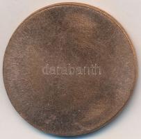 Ifj. Szlávits László (1959-) DN "Leiningen Károly" egyoldalas Br érem (39mm) T:2