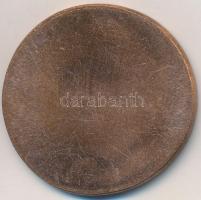 Ifj. Szlávits László (1959-) DN "Leiningen Károly" egyoldalas Br érem (39,5mm) T:2