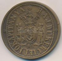 Tóth Sándor(1933-) 1984. "Sillye Gábor - A Hajdúkerület Utolsó Főkapitánya" Br emlékérem (...