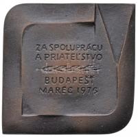 1976. "25 éves a Csehszlovák Kulturális Központ Budapesten" Br plakett eredeti tokban (84x...