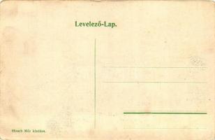 Dicsőszentmárton, Tarnaveni; Sándor János út, Hirsch Mór kiadása / street