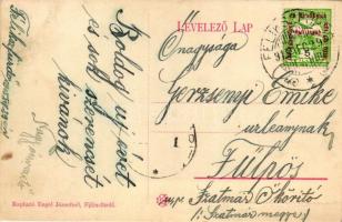 Félixfürdő, gyógyszertár, Engel József kiadása / pharmacy