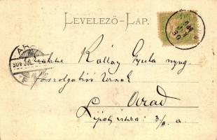 Magyarpécska, Pécska; Városháza, kiadó tulajdonos Holzeisen József / town hall