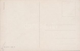 Krieg im Frieden / K.u.K.officer B.K.W.I. 202-8 s: Schönpflug