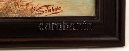 Sztelek jelzéssel: Ház a patak mellett. Olaj, farost, keretben, 50×60 cm