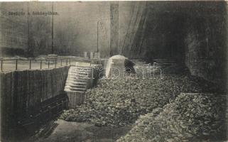 Torda, Turda; sóbánya belső, sóvágás, kiadja Füssy József / salt mine interior, salt cutting (fl)