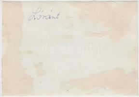 cca 1952 Puskás Ferenc, Bozsik József és Lóránt Gyula csoportképen, hátulján feliratozva, 10,5×15 cm