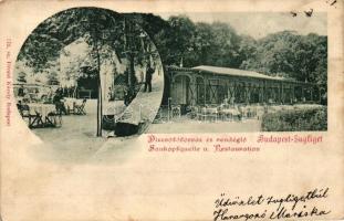 Budapest XII. Zugliget, Disznófő-forrás és vendéglő; Divald Károly (EK)