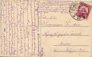 Árva Polhora, Jódfürdő / spa