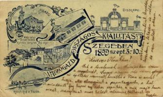 1899 Szeged, I. Mezőgazdasági Országos Kiállítás; Vigadó, Díszkapu, Közúti híd, Minta tanya, Mezőgazdasági ipari csarnok, floral, Art Nouveu, kiadja Engel Lajos (kis szakadás / small tear)