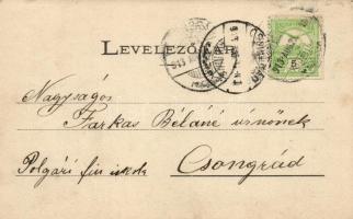 Rásztok, Ráztoky (Liptó m.) Vízfogó / dyke