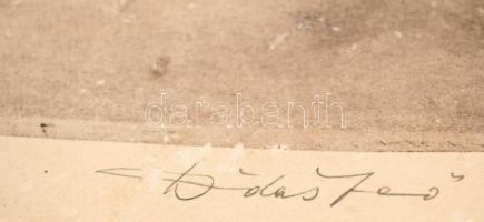 Dudás Jenő (1902-1991): Tihanyi kondásház. Színezett rézkarc, papír, jelzett, 29×40 cm