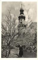 Sopron, Várostorony, cseresznyefák, kiadja Diebold (EK)
