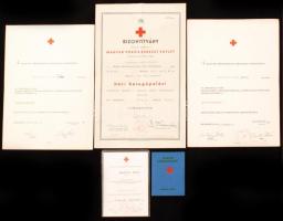 1942-1977 A Magyar Vöröskereszt Egylet házi betegápolási bizonyítványa, vöröskeresztes tagsági könyve és és kiváló véradó kitüntetéses emléklap, 5 db