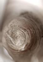 Díszes ezüst (Ag.) pezsgőspohár, jelzett, m: 19,5 cm, nettó 119 g