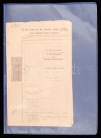 cca 1880-1930 Vegyes okmány tétel: különféle indiai vonatkozású iratok hindi nyelven, újságkivágások, valamint néhány metszet és térkép, mappába rendezve, összesen kb. 23 db