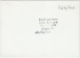 Linzbauer Tamás: Budapest, 42-es villamos, pecséttel jelzett fotó, 10x14 cm