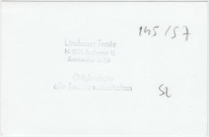 Linzbauer Tamás: Villamossín javító-ellenőrző szerelvény, 9x14 cm