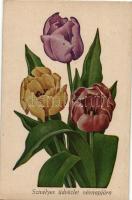 Szívélyes üdvözlet névnapjára / Name day, tulips