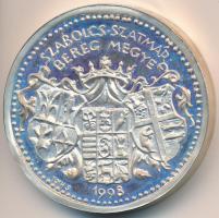 Tóth Sándor (1933-) 1998. "Szabolcs-Szatmár-Bereg Megye - Megyeháza" piefort Ag emlékérem ...